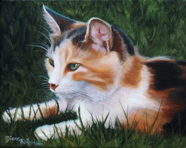 Animalier-chat-huile-diane-berube